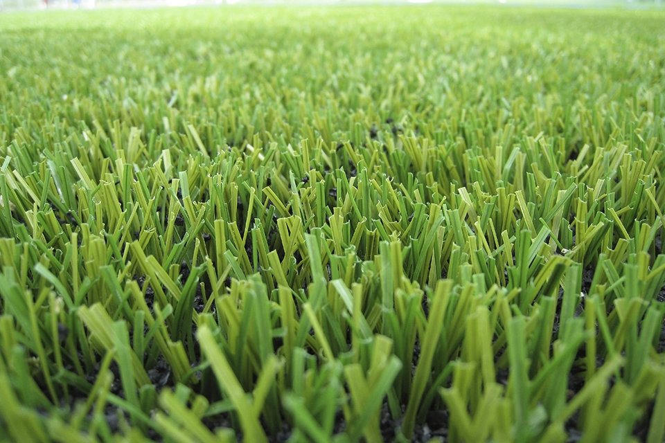 Artificial Grass Tisbury