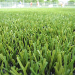 Turf & Artificial Grass Contractor Weyhill