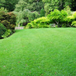 Turf & Artificial Grass Cost Ringwood
