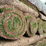 Turf & Artificial Grass Services Market Lavington